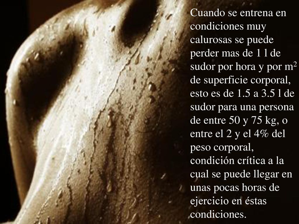 Cuando se entrena en condiciones muy calurosas se puede perder mas de 1 l de sudor por hora y por m2 de superficie corporal, esto es de 1.5 a 3.5 l de sudor para una persona de entre 50 y 75 kg, o entre el 2 y el 4% del peso corporal, condición crítica a la cual se puede llegar en unas pocas horas de ejercicio en éstas condiciones.