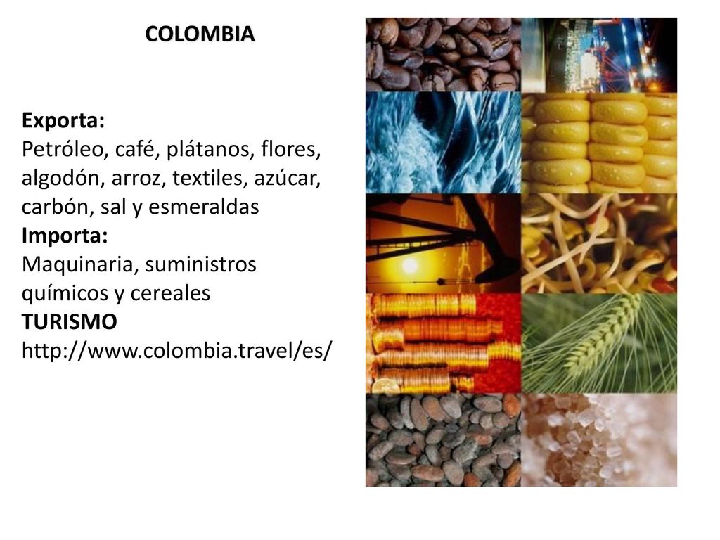 COLOMBIA Exporta: Petróleo, café, plátanos, flores, algodón, arroz, textiles, azúcar, carbón, sal y esmeraldas.