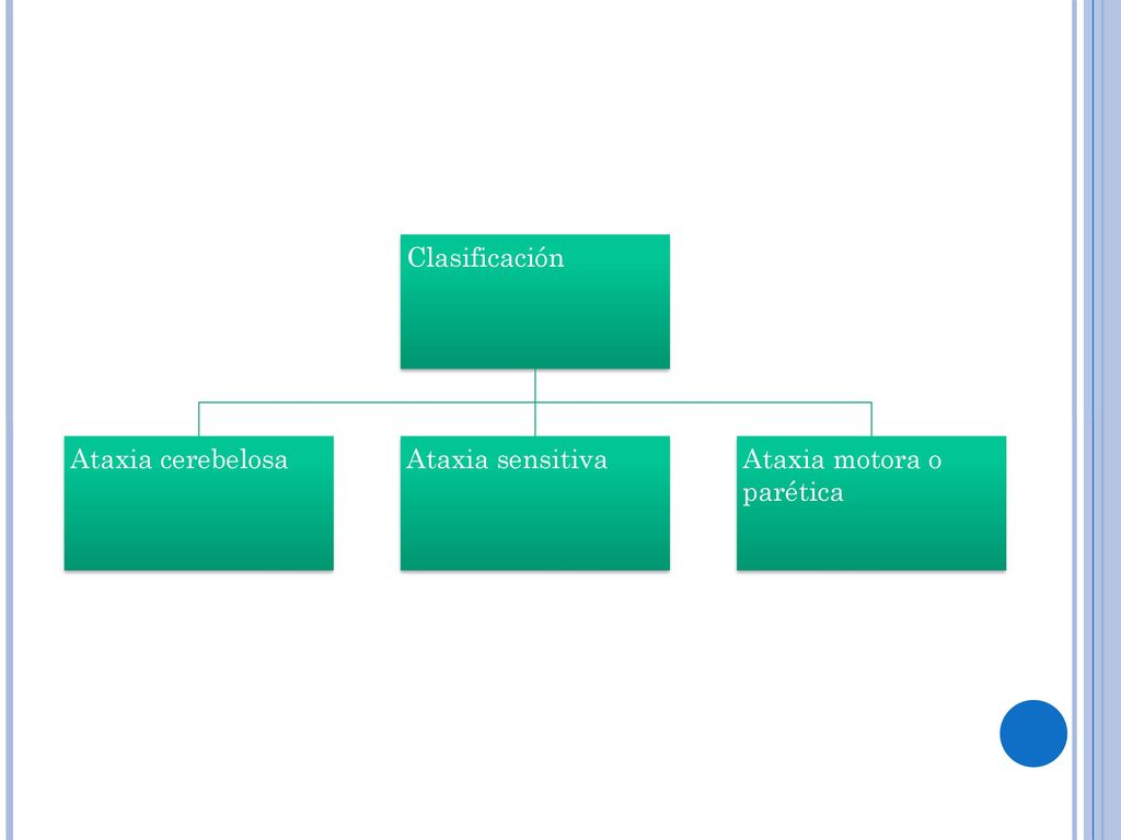 Clasificación Ataxia cerebelosa Ataxia sensitiva Ataxia motora o parética