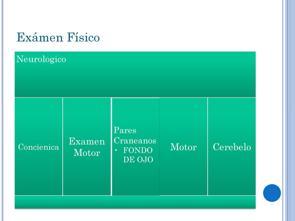 Exámen Físico Examen Motor Motor Cerebelo Neurologico Pares Craneanos