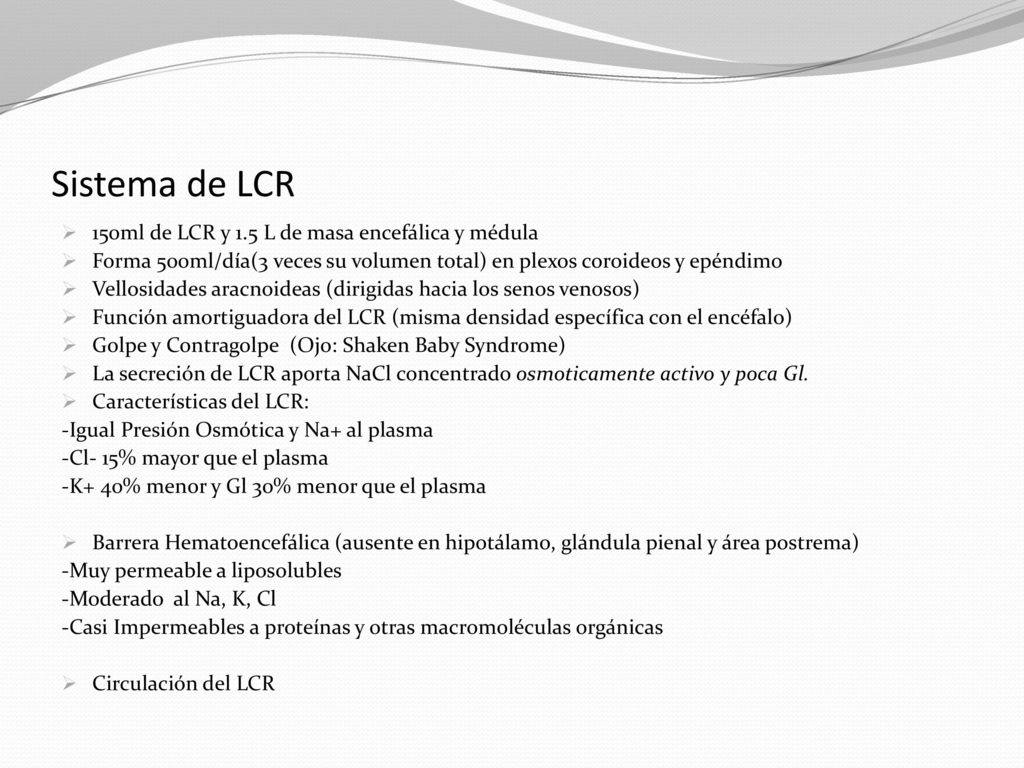 Sistema de LCR 150ml de LCR y 1.5 L de masa encefálica y médula