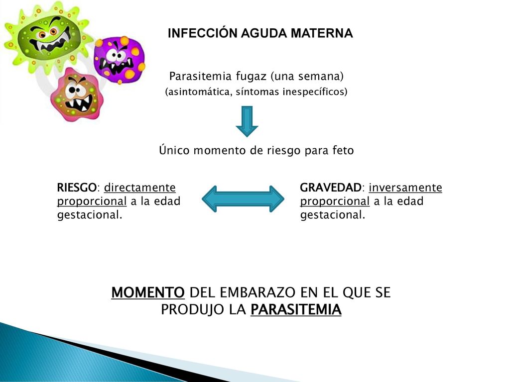 Momento del embarazo en el que se produjo la parasitemia