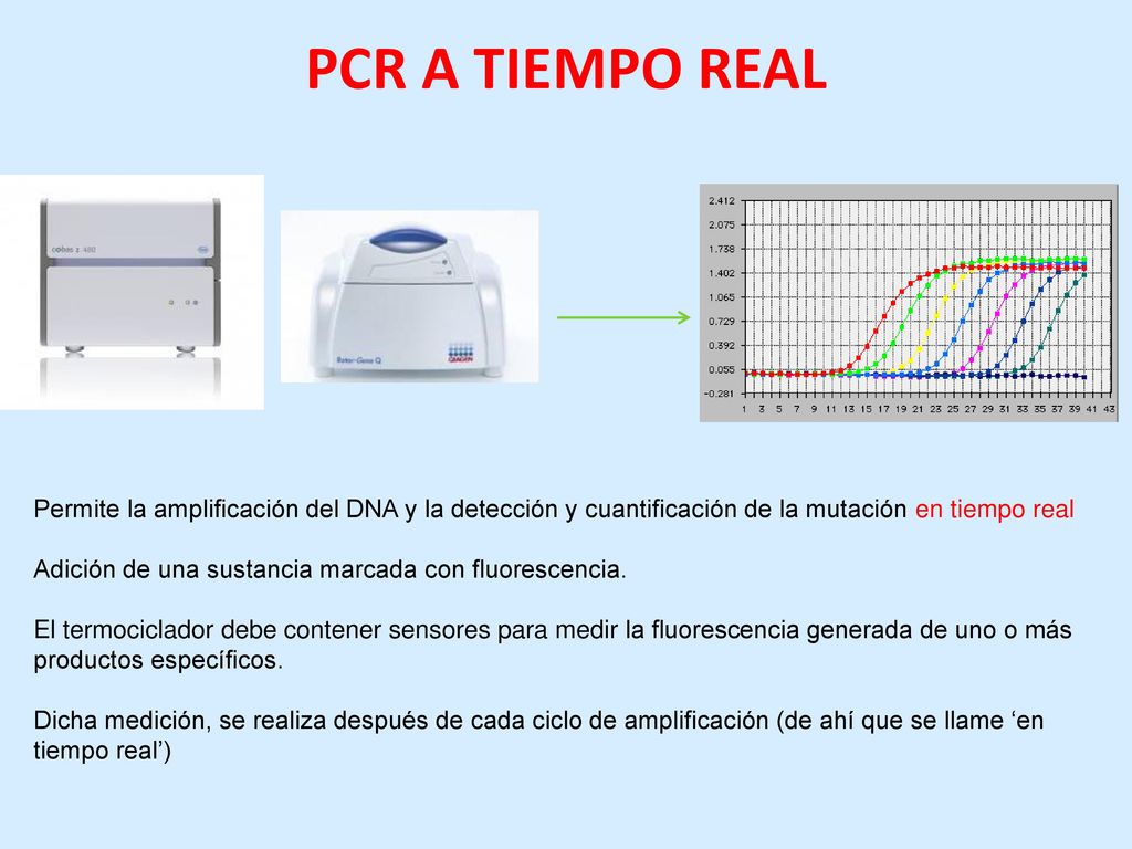 PCR A TIEMPO REAL Permite la amplificación del DNA y la detección y cuantificación de la mutación en tiempo real.