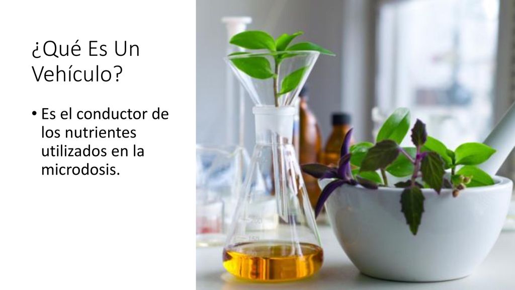¿Qué Es Un Vehículo Es el conductor de los nutrientes utilizados en la microdosis.