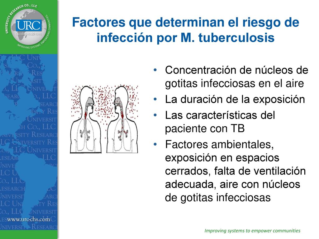 Factores que determinan el riesgo de infección por M. tuberculosis