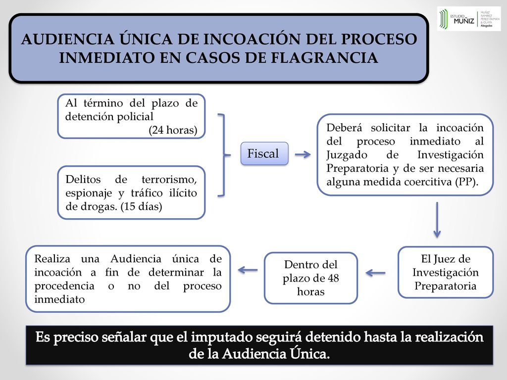 AUDIENCIA ÚNICA DE INCOACIÓN DEL PROCESO INMEDIATO EN CASOS DE FLAGRANCIA