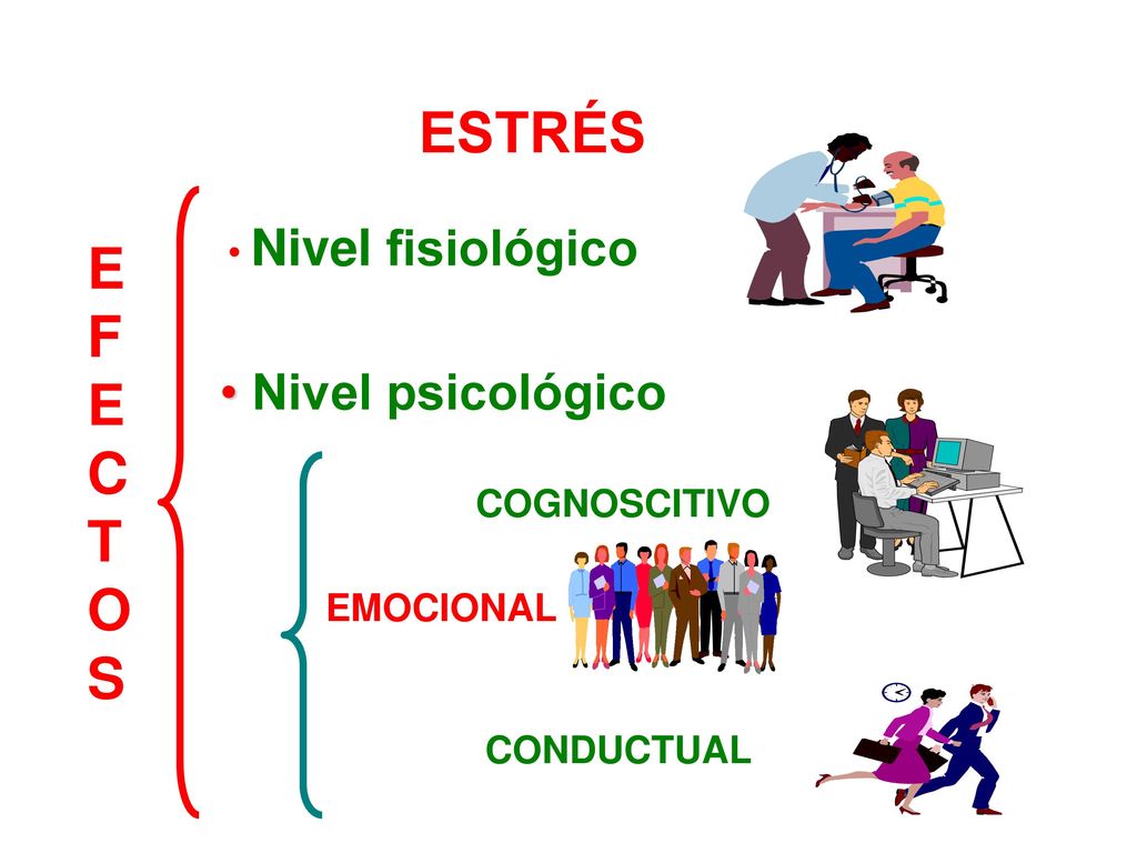 ESTRÉS E F C T O S Nivel psicológico Nivel fisiológico COGNOSCITIVO
