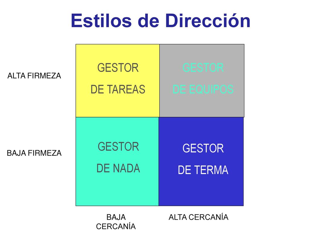 Estilos de Dirección GESTOR DE TAREAS GESTOR DE EQUIPOS GESTOR DE NADA