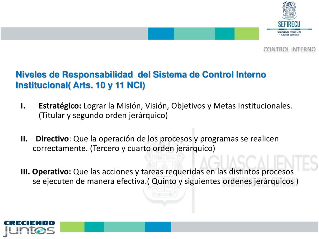 Niveles de Responsabilidad del Sistema de Control Interno Institucional( Arts. 10 y 11 NCI)