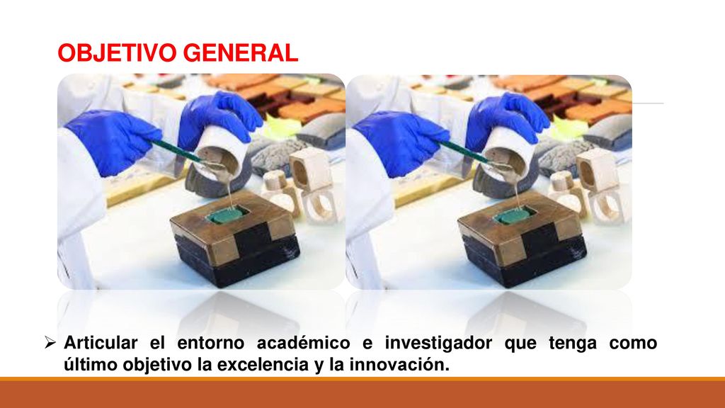 OBJETIVO GENERAL Articular el entorno académico e investigador que tenga como último objetivo la excelencia y la innovación.