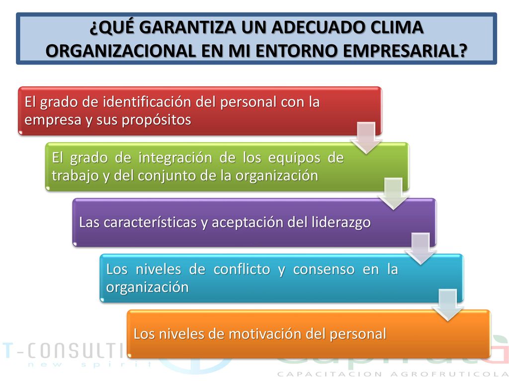 ¿QUÉ GARANTIZA UN ADECUADO CLIMA ORGANIZACIONAL EN MI ENTORNO EMPRESARIAL
