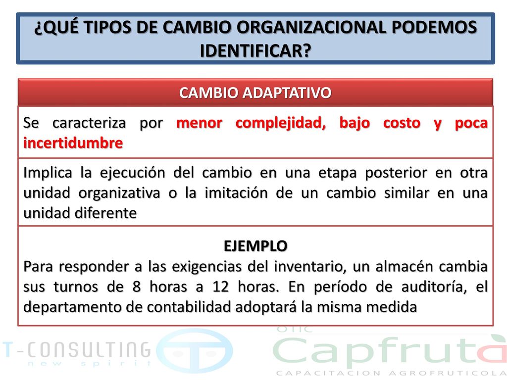 ¿QUÉ TIPOS DE CAMBIO ORGANIZACIONAL PODEMOS IDENTIFICAR