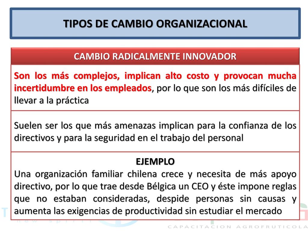 TIPOS DE CAMBIO ORGANIZACIONAL CAMBIO RADICALMENTE INNOVADOR