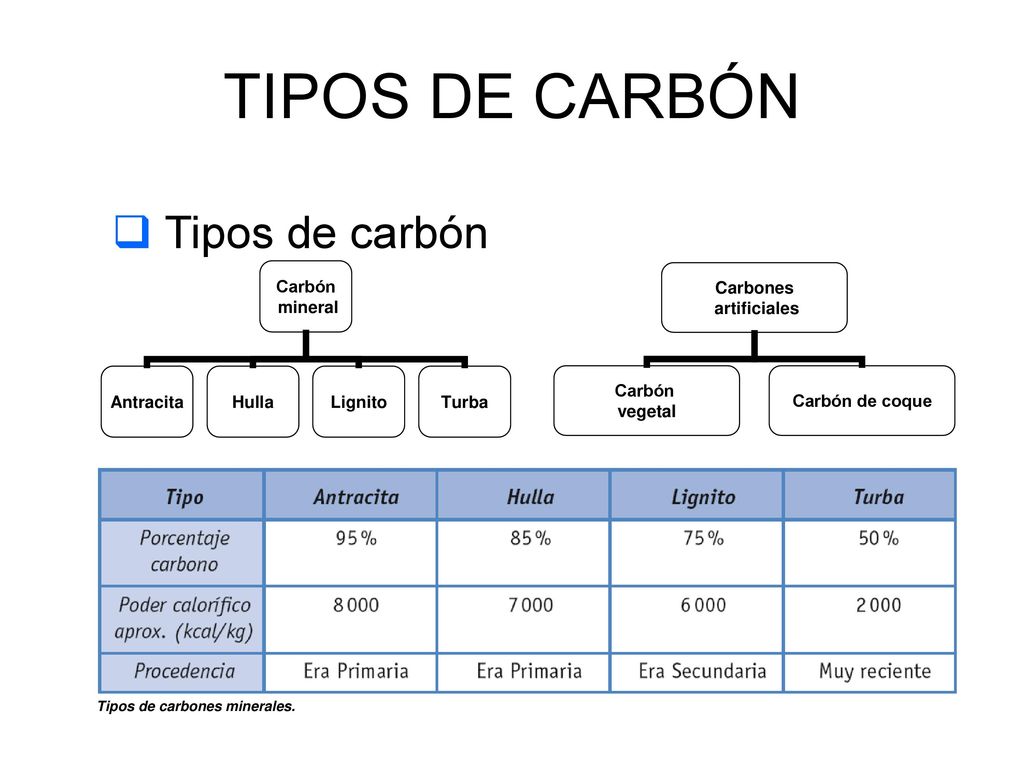 TIPOS DE CARBÓN Tipos de carbón Tipos de carbones minerales.