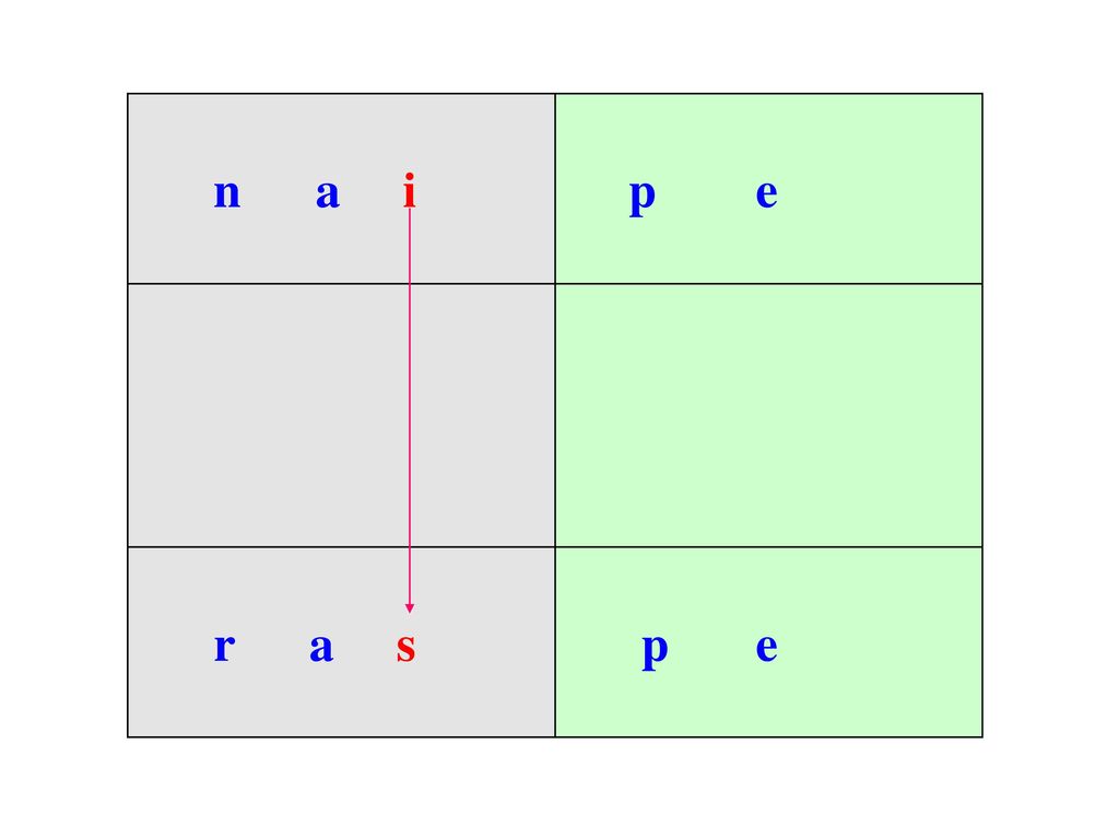 n a i p e r a s p e