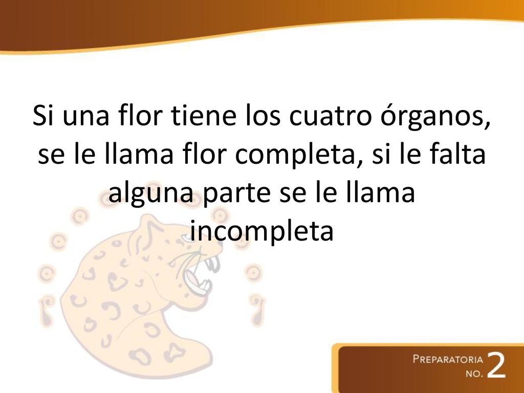 Si una flor tiene los cuatro órganos, se le llama flor completa, si le falta alguna parte se le llama incompleta