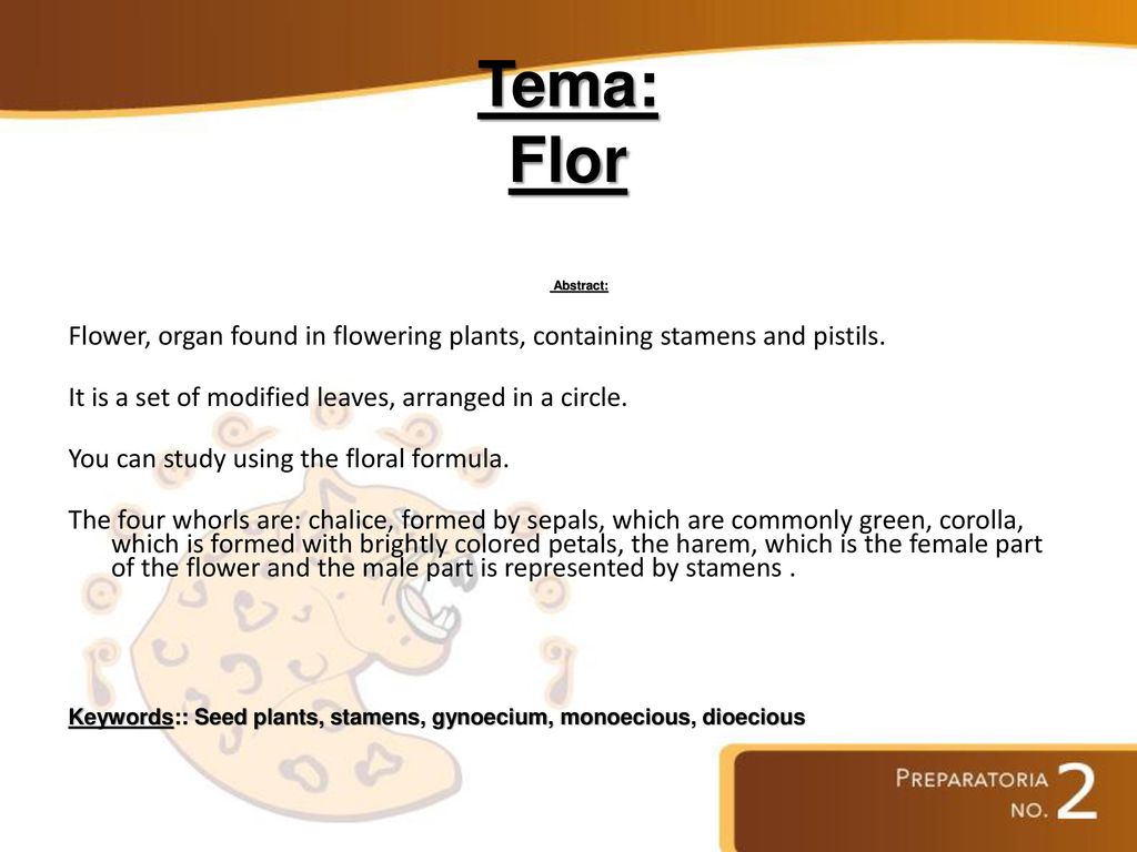 Tema: Flor Abstract: Flower, organ found in flowering plants, containing stamens and pistils. It is a set of modified leaves, arranged in a circle.
