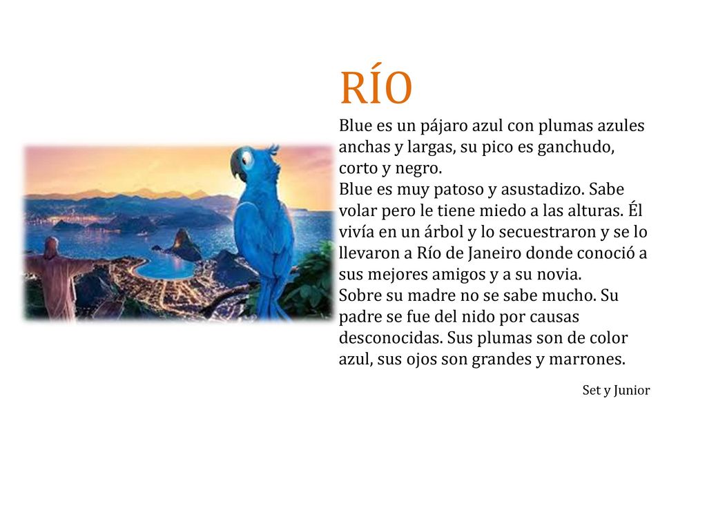 RÍO Blue es un pájaro azul con plumas azules anchas y largas, su pico es ganchudo, corto y negro.