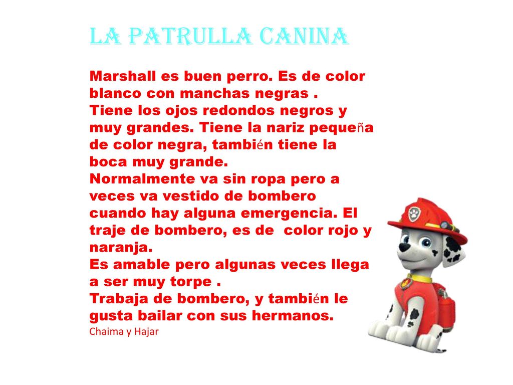 La patrulla canina Marshall es buen perro. Es de color blanco con manchas negras .