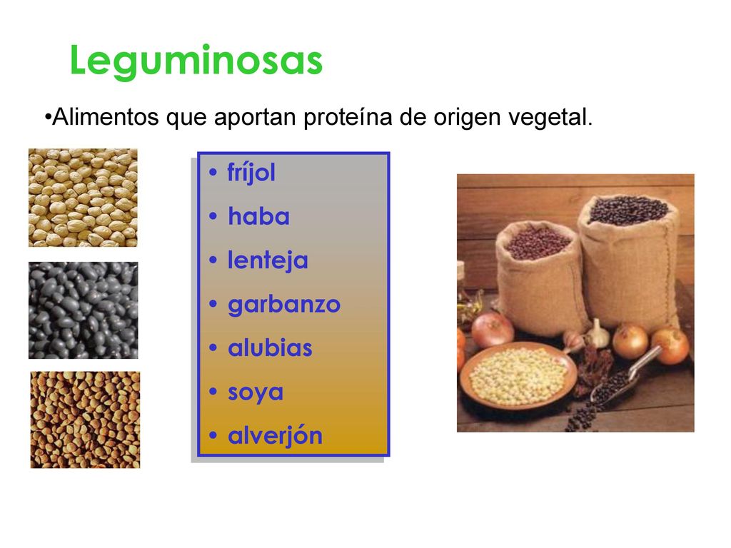 Leguminosas Alimentos que aportan proteína de origen vegetal. fríjol