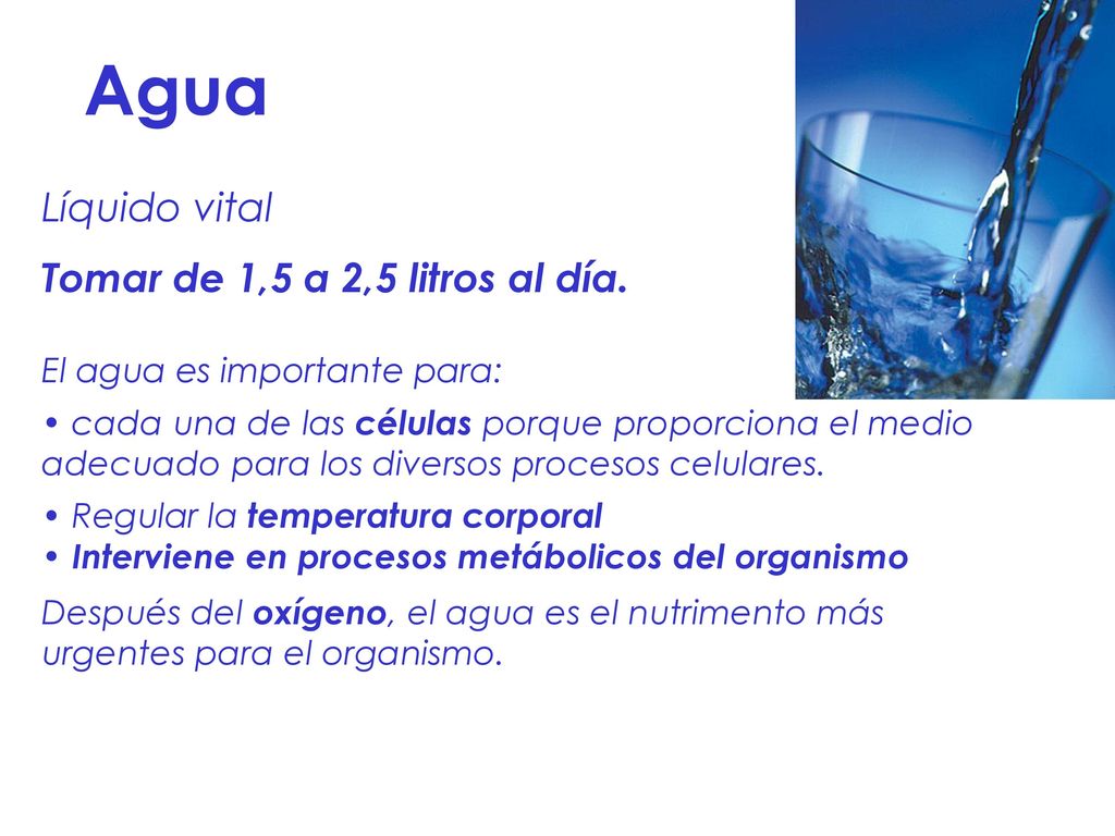 Agua Líquido vital Tomar de 1,5 a 2,5 litros al día.