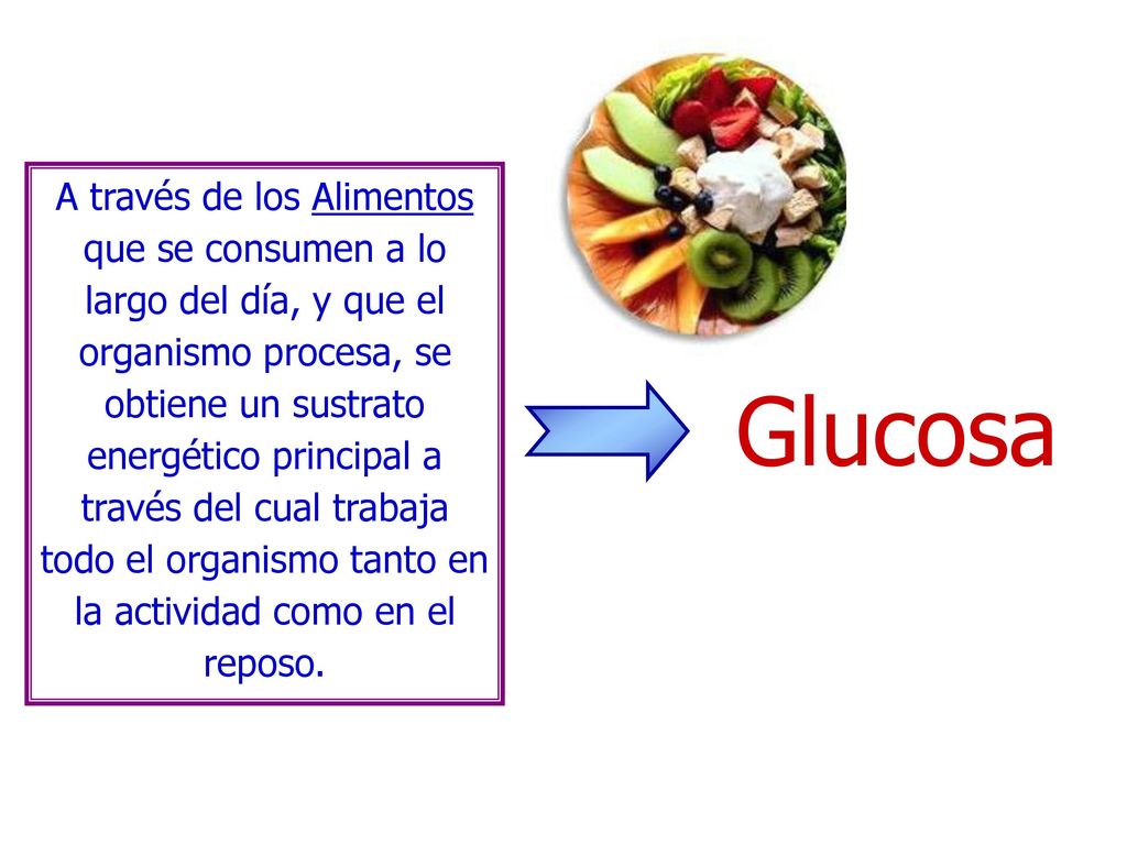 A través de los Alimentos que se consumen a lo largo del día, y que el organismo procesa, se obtiene un sustrato energético principal a través del cual trabaja todo el organismo tanto en la actividad como en el reposo.