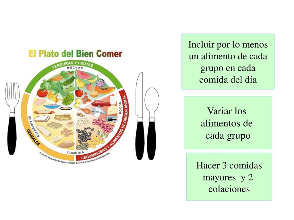 Variar los alimentos de cada grupo Incluir por lo menos