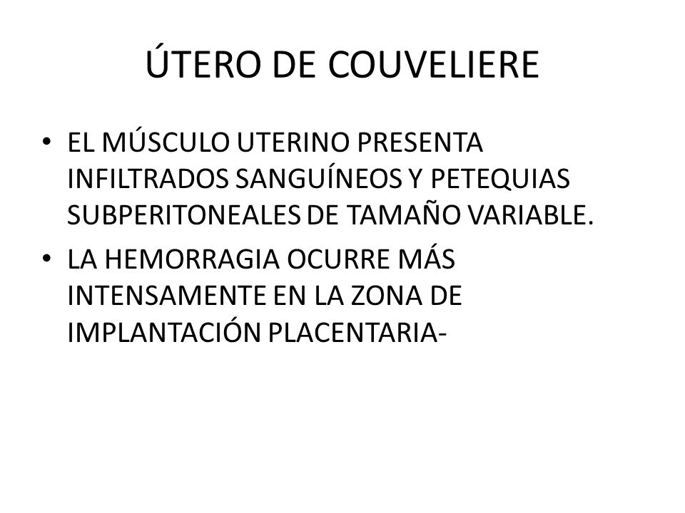 ÚTERO DE COUVELIERE EL MÚSCULO UTERINO PRESENTA INFILTRADOS SANGUÍNEOS Y PETEQUIAS SUBPERITONEALES DE TAMAÑO VARIABLE.