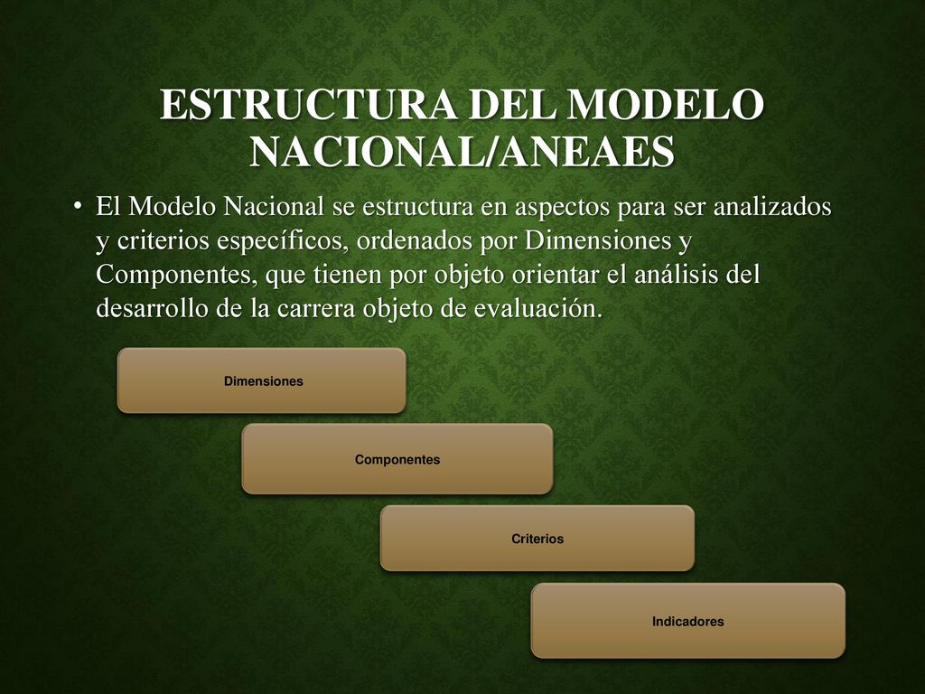 Estructura del Modelo Nacional/ANEAES