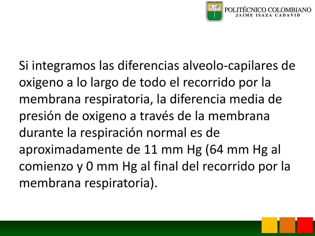 Si integramos las diferencias alveolo-capilares de oxigeno a lo largo de todo el recorrido por la membrana respiratoria, la diferencia media de presión de oxigeno a través de la membrana durante la respiración normal es de aproximadamente de 11 mm Hg (64 mm Hg al comienzo y 0 mm Hg al final del recorrido por la membrana respiratoria).