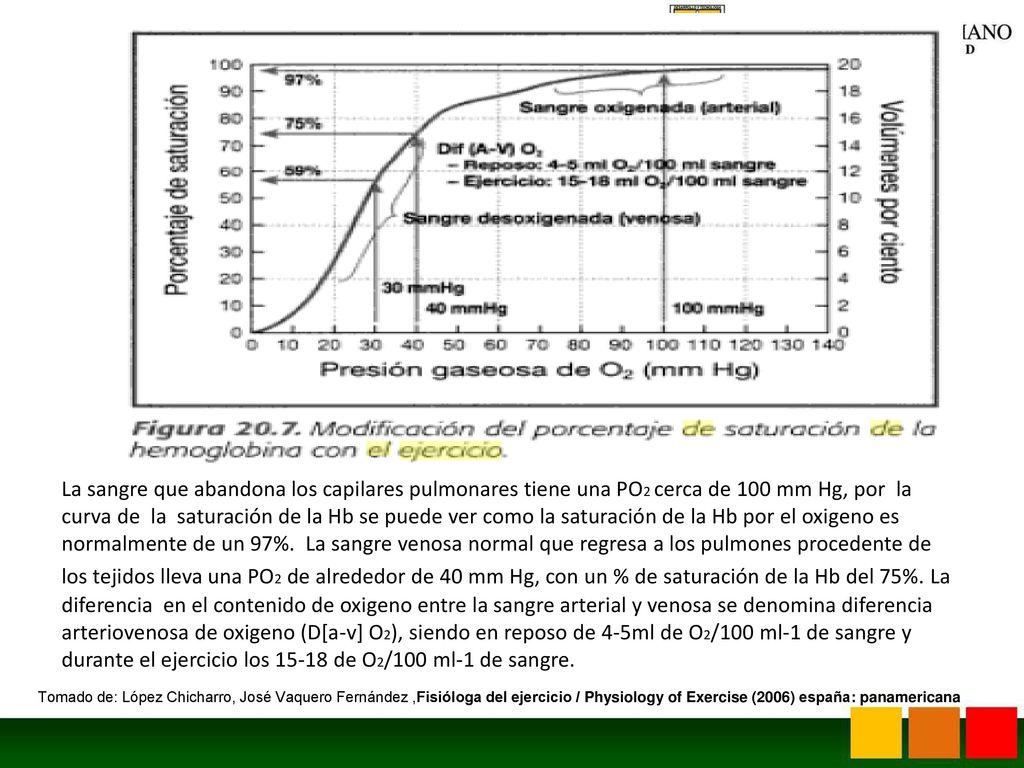 La sangre que abandona los capilares pulmonares tiene una PO2 cerca de 100 mm Hg, por la curva de la saturación de la Hb se puede ver como la saturación de la Hb por el oxigeno es normalmente de un 97%. La sangre venosa normal que regresa a los pulmones procedente de los tejidos lleva una PO2 de alrededor de 40 mm Hg, con un % de saturación de la Hb del 75%. La diferencia en el contenido de oxigeno entre la sangre arterial y venosa se denomina diferencia arteriovenosa de oxigeno (D[a-v] O2), siendo en reposo de 4-5ml de O2/100 ml-1 de sangre y durante el ejercicio los de O2/100 ml-1 de sangre.