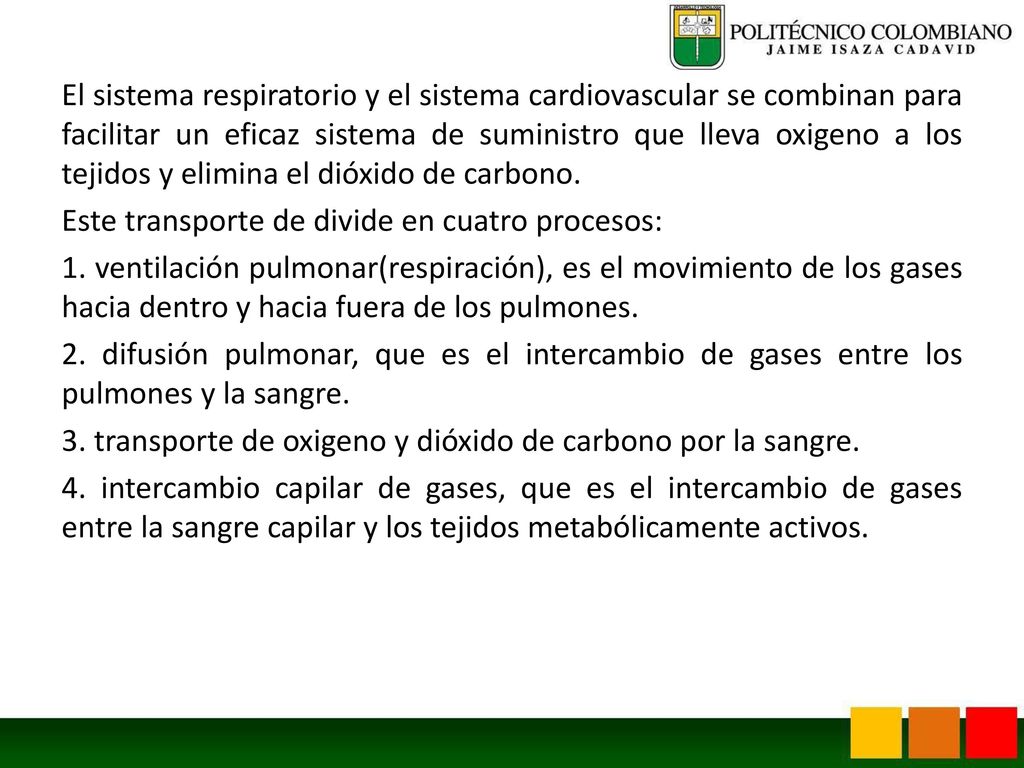 El sistema respiratorio y el sistema cardiovascular se combinan para facilitar un eficaz sistema de suministro que lleva oxigeno a los tejidos y elimina el dióxido de carbono.