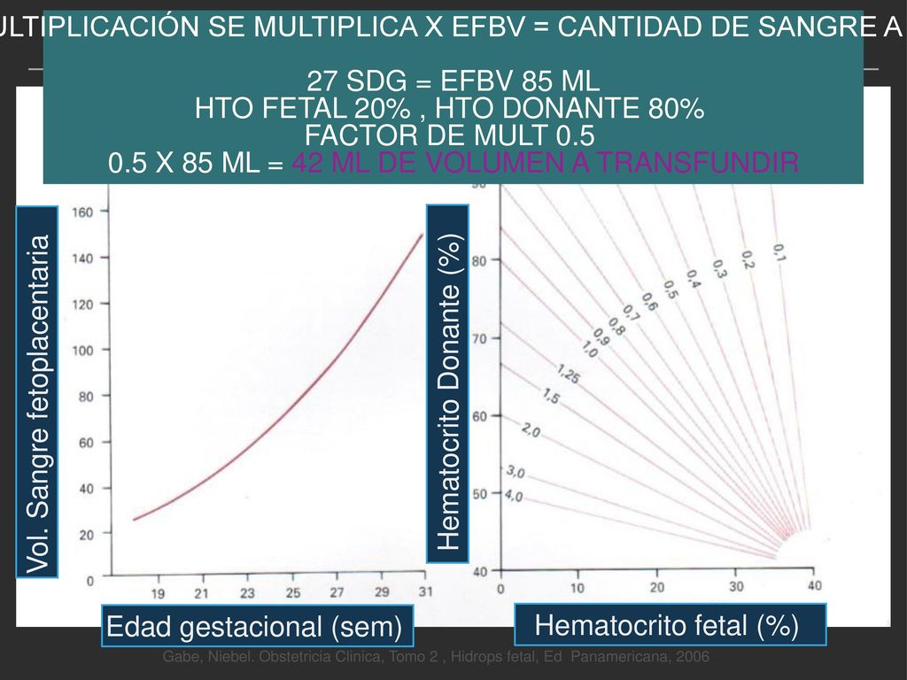 HTO FETAL 20% , HTO DONANTE 80% FACTOR DE MULT 0.5