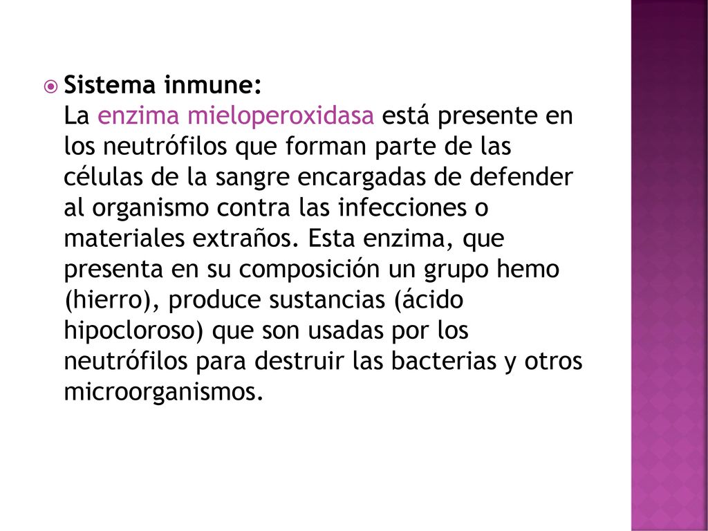 Sistema inmune: La enzima mieloperoxidasa está presente en los neutrófilos que forman parte de las células de la sangre encargadas de defender al organismo contra las infecciones o materiales extraños.