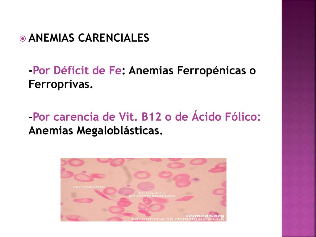 ANEMIAS CARENCIALES -Por Déficit de Fe: Anemias Ferropénicas o Ferroprivas.
