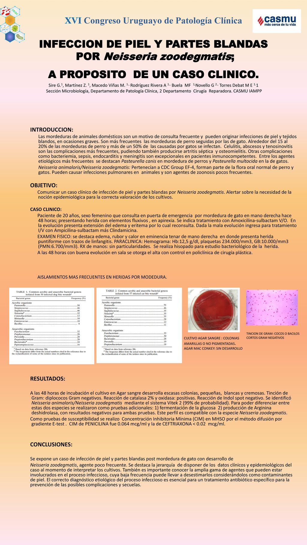 XVI Congreso Uruguayo de Patología Clínica INFECCION DE PIEL Y PARTES BLANDAS POR Neisseria zoodegmatis; A PROPOSITO DE UN CASO CLINICO. Sire G.1, Martínez Z. 1, Macedo Viñas M. 1., Rodríguez Rivera A 1., Buela MF 1,Novello G 2., Torres Debat M E 1.1 Sección Microbiología, Departamento de Patología Clínica, 2 Departamento Cirugía Reparadora. CASMU IAMPP
