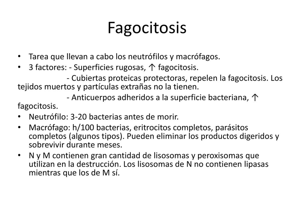 Fagocitosis Tarea que llevan a cabo los neutrófilos y macrófagos.