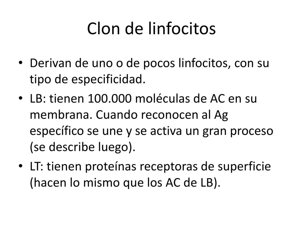 Clon de linfocitos Derivan de uno o de pocos linfocitos, con su tipo de especificidad.