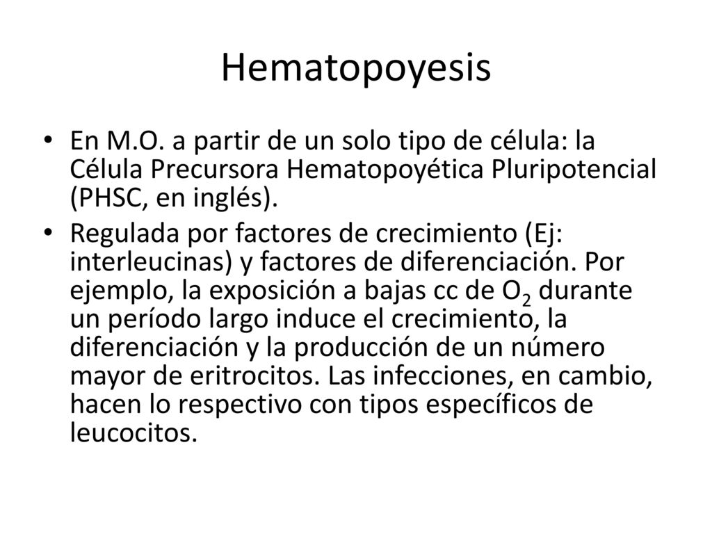 Hematopoyesis En M.O. a partir de un solo tipo de célula: la Célula Precursora Hematopoyética Pluripotencial (PHSC, en inglés).