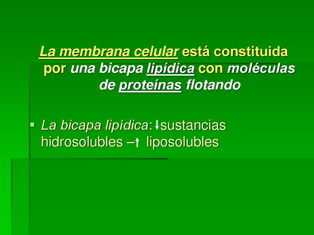La membrana celular está constituida por una bicapa lipídica con moléculas de proteínas flotando