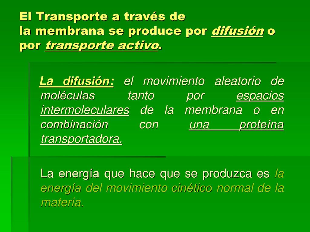 El Transporte a través de la membrana se produce por difusión o por transporte activo.