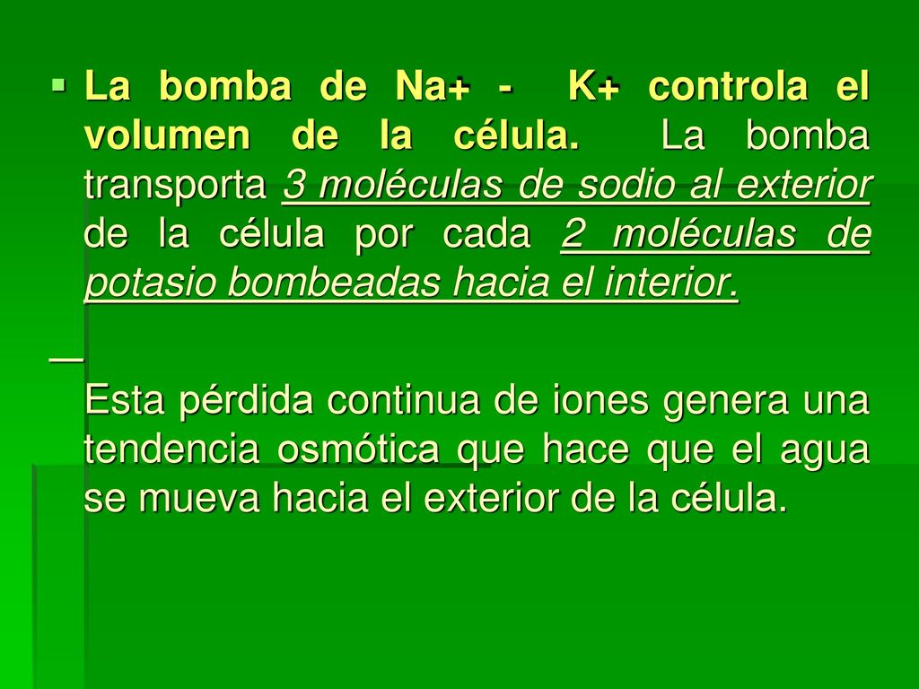 La bomba de Na+ - K+ controla el volumen de la célula