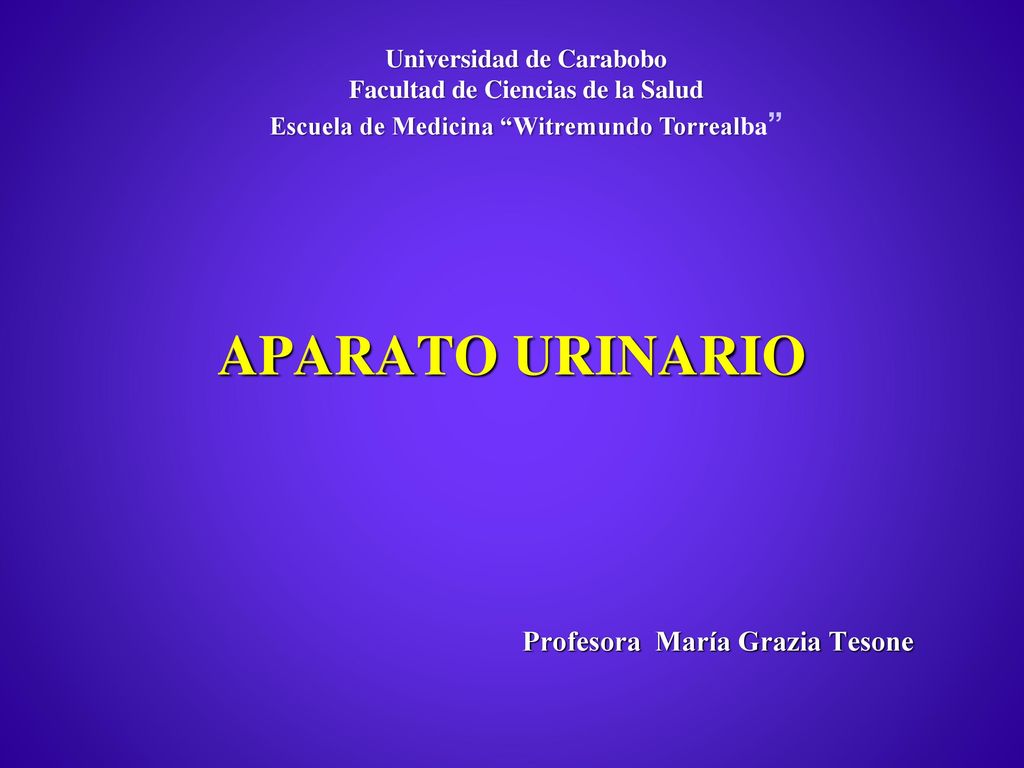 APARATO URINARIO Profesora María Grazia Tesone Universidad de Carabobo