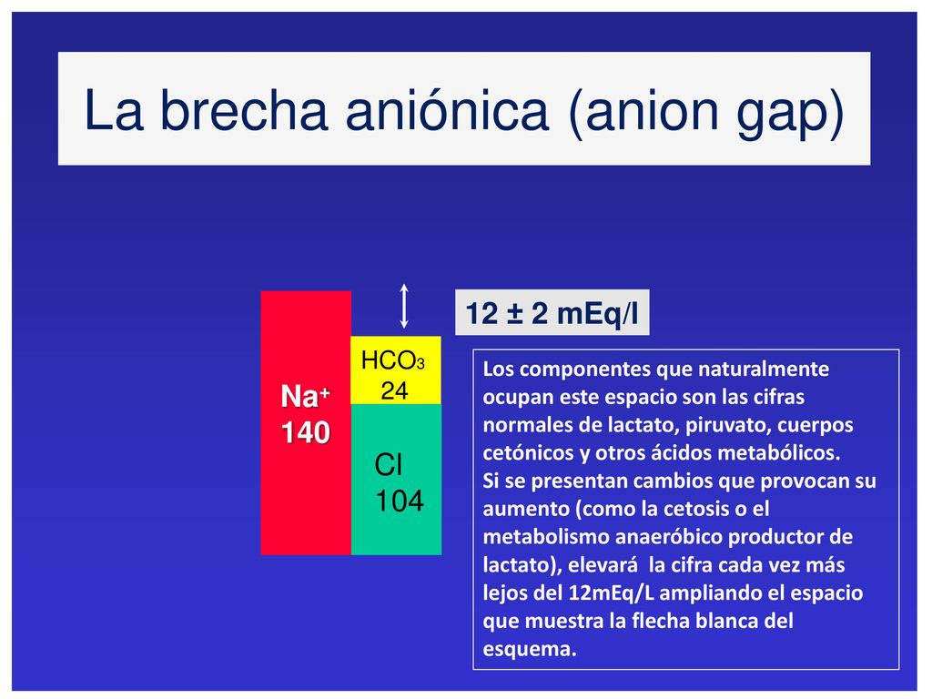 Los componentes que naturalmente ocupan este espacio son las cifras normales de lactato, piruvato, cuerpos cetónicos y otros ácidos metabólicos.