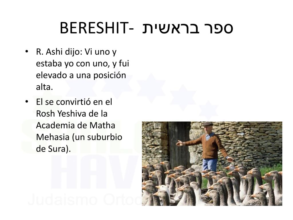 BERESHIT- ספר בראשית R. Ashi dijo: Vi uno y estaba yo con uno, y fui elevado a una posición alta.