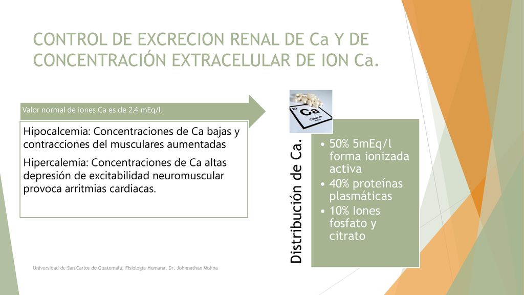 CONTROL DE EXCRECION RENAL DE Ca Y DE CONCENTRACIÓN EXTRACELULAR DE ION Ca.