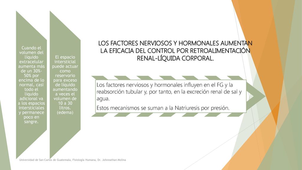 Cuando el volumen del líquido extracelular aumenta más de un 30%-50% por encima de lo normal, casi todo el líquido adicional va a los espacios intersticiales y permanece poco en sangre.