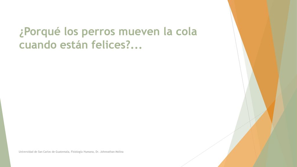 ¿Porqué los perros mueven la cola cuando están felices ...