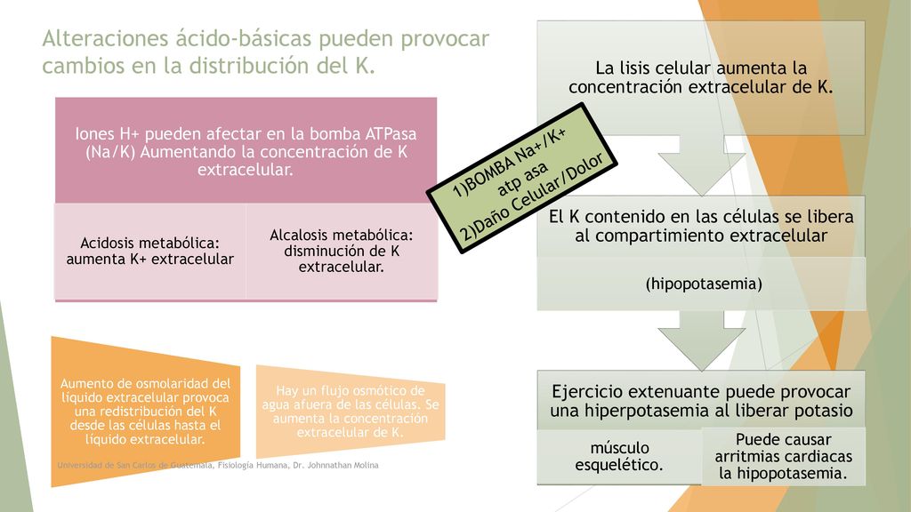 Alteraciones ácido-básicas pueden provocar cambios en la distribución del K.