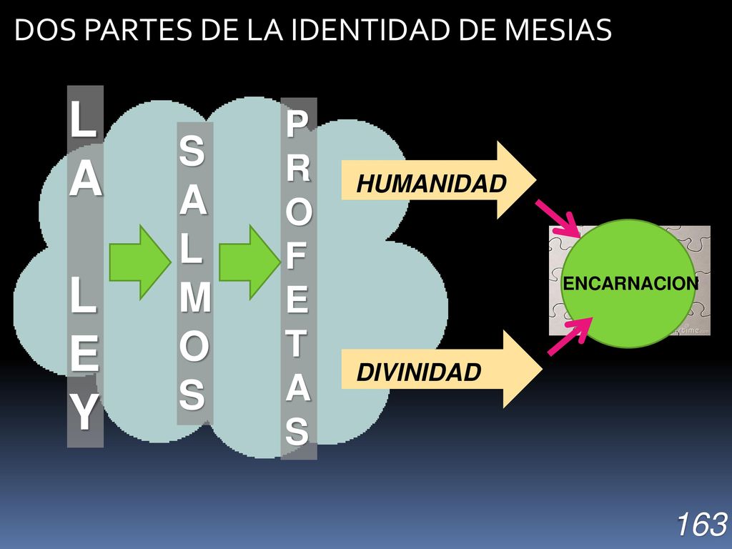 LA LEY SALMOS PROFETAS DOS PARTES DE LA IDENTIDAD DE MESIAS 163